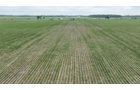 Property photo 8 - CANCELLED - LAND AUCTION - 70.5+/- ACRES OFFERED IN 1 TRACT IN TIPPECANOE COUNTY, INDIANA