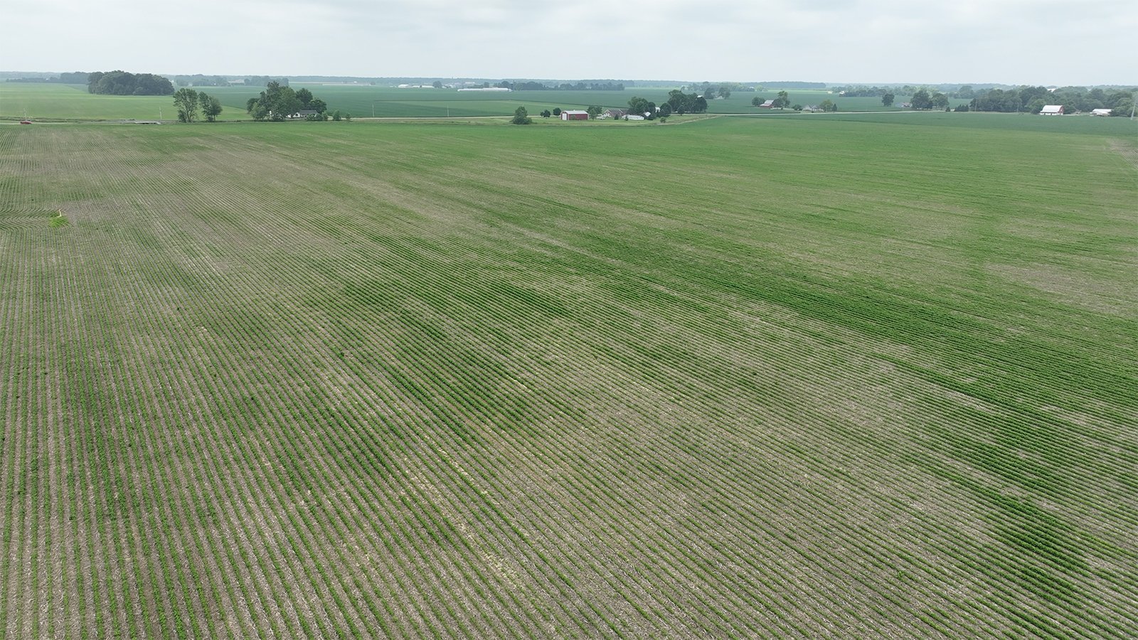 Property photo 5 - CANCELLED - LAND AUCTION - 70.5+/- ACRES OFFERED IN 1 TRACT IN TIPPECANOE COUNTY, INDIANA