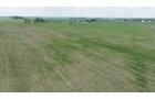 Property photo 5 - CANCELLED - LAND AUCTION - 70.5+/- ACRES OFFERED IN 1 TRACT IN TIPPECANOE COUNTY, INDIANA