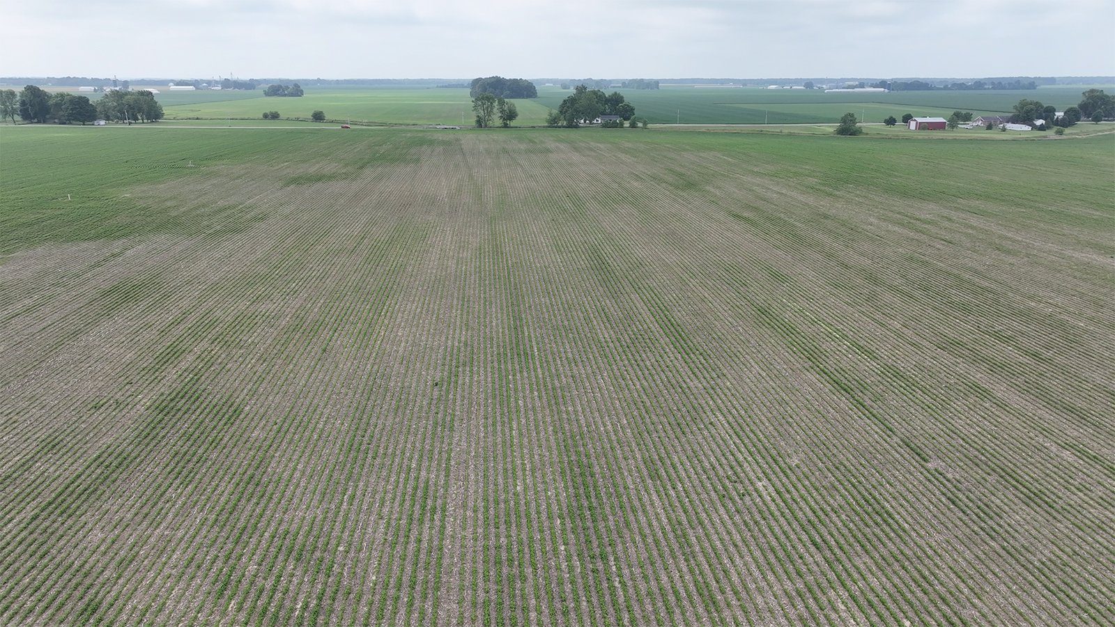 Property photo 4 - CANCELLED - LAND AUCTION - 70.5+/- ACRES OFFERED IN 1 TRACT IN TIPPECANOE COUNTY, INDIANA