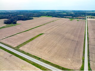 Property photo 9 - LAND AUCTION - 1,420 ACRES OFFERED IN 21 TRACTS IN PUTNAM, HENDRICKS & MONTGOMERY COUNTIES, INDIANA