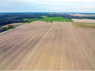 Property photo 13 - LAND AUCTION - 1,420 ACRES OFFERED IN 21 TRACTS IN PUTNAM, HENDRICKS & MONTGOMERY COUNTIES, INDIANA