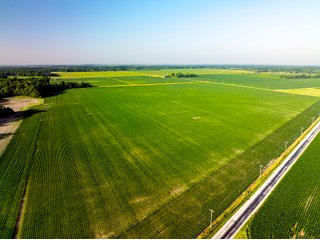 Property photo 28 - LAND AUCTION - 1,420 ACRES OFFERED IN 21 TRACTS IN PUTNAM, HENDRICKS & MONTGOMERY COUNTIES, INDIANA