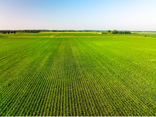 Property photo 1 - LAND AUCTION - 1,420 ACRES OFFERED IN 21 TRACTS IN PUTNAM, HENDRICKS & MONTGOMERY COUNTIES, INDIANA