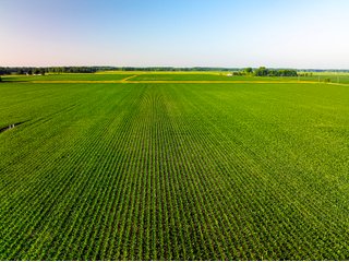 Property photo 29 - LAND AUCTION - 1,420 ACRES OFFERED IN 21 TRACTS IN PUTNAM, HENDRICKS & MONTGOMERY COUNTIES, INDIANA