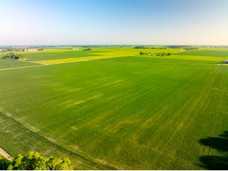Property photo 30 - LAND AUCTION - 1,420 ACRES OFFERED IN 21 TRACTS IN PUTNAM, HENDRICKS & MONTGOMERY COUNTIES, INDIANA