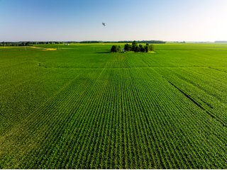 Property photo 31 - LAND AUCTION - 1,420 ACRES OFFERED IN 21 TRACTS IN PUTNAM, HENDRICKS & MONTGOMERY COUNTIES, INDIANA