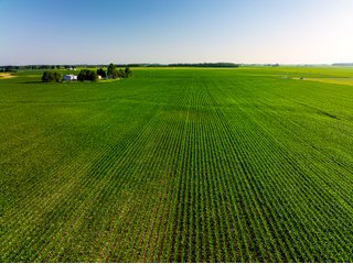 Property photo 32 - LAND AUCTION - 1,420 ACRES OFFERED IN 21 TRACTS IN PUTNAM, HENDRICKS & MONTGOMERY COUNTIES, INDIANA
