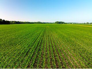 Property photo 35 - LAND AUCTION - 1,420 ACRES OFFERED IN 21 TRACTS IN PUTNAM, HENDRICKS & MONTGOMERY COUNTIES, INDIANA