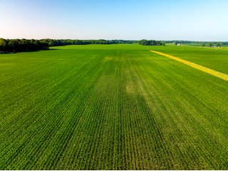 Property photo 36 - LAND AUCTION - 1,420 ACRES OFFERED IN 21 TRACTS IN PUTNAM, HENDRICKS & MONTGOMERY COUNTIES, INDIANA