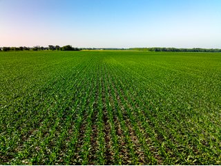 Property photo 38 - LAND AUCTION - 1,420 ACRES OFFERED IN 21 TRACTS IN PUTNAM, HENDRICKS & MONTGOMERY COUNTIES, INDIANA