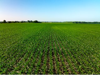 Property photo 39 - LAND AUCTION - 1,420 ACRES OFFERED IN 21 TRACTS IN PUTNAM, HENDRICKS & MONTGOMERY COUNTIES, INDIANA