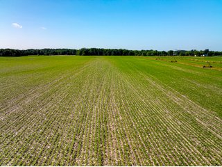 Property photo 47 - LAND AUCTION - 1,420 ACRES OFFERED IN 21 TRACTS IN PUTNAM, HENDRICKS & MONTGOMERY COUNTIES, INDIANA