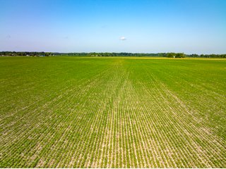 Property photo 48 - LAND AUCTION - 1,420 ACRES OFFERED IN 21 TRACTS IN PUTNAM, HENDRICKS & MONTGOMERY COUNTIES, INDIANA
