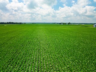 Property photo 69 - LAND AUCTION - 1,420 ACRES OFFERED IN 21 TRACTS IN PUTNAM, HENDRICKS & MONTGOMERY COUNTIES, INDIANA