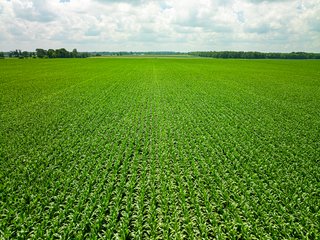 Property photo 72 - LAND AUCTION - 1,420 ACRES OFFERED IN 21 TRACTS IN PUTNAM, HENDRICKS & MONTGOMERY COUNTIES, INDIANA