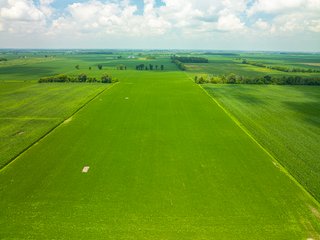 Property photo 75 - LAND AUCTION - 1,420 ACRES OFFERED IN 21 TRACTS IN PUTNAM, HENDRICKS & MONTGOMERY COUNTIES, INDIANA