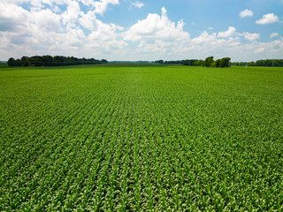 Property photo 79 - LAND AUCTION - 1,420 ACRES OFFERED IN 21 TRACTS IN PUTNAM, HENDRICKS & MONTGOMERY COUNTIES, INDIANA