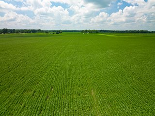 Property photo 80 - LAND AUCTION - 1,420 ACRES OFFERED IN 21 TRACTS IN PUTNAM, HENDRICKS & MONTGOMERY COUNTIES, INDIANA