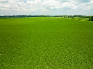Property photo 81 - LAND AUCTION - 1,420 ACRES OFFERED IN 21 TRACTS IN PUTNAM, HENDRICKS & MONTGOMERY COUNTIES, INDIANA