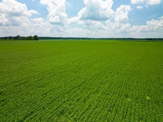 Property photo 82 - LAND AUCTION - 1,420 ACRES OFFERED IN 21 TRACTS IN PUTNAM, HENDRICKS & MONTGOMERY COUNTIES, INDIANA