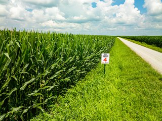 Property photo 84 - LAND AUCTION - 1,420 ACRES OFFERED IN 21 TRACTS IN PUTNAM, HENDRICKS & MONTGOMERY COUNTIES, INDIANA