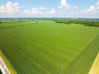 Property photo 85 - LAND AUCTION - 1,420 ACRES OFFERED IN 21 TRACTS IN PUTNAM, HENDRICKS & MONTGOMERY COUNTIES, INDIANA