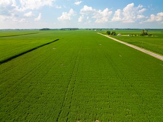 Property photo 86 - LAND AUCTION - 1,420 ACRES OFFERED IN 21 TRACTS IN PUTNAM, HENDRICKS & MONTGOMERY COUNTIES, INDIANA