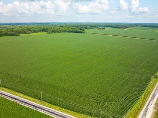 Property photo 88 - LAND AUCTION - 1,420 ACRES OFFERED IN 21 TRACTS IN PUTNAM, HENDRICKS & MONTGOMERY COUNTIES, INDIANA