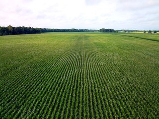 Property photo 91 - LAND AUCTION - 1,420 ACRES OFFERED IN 21 TRACTS IN PUTNAM, HENDRICKS & MONTGOMERY COUNTIES, INDIANA
