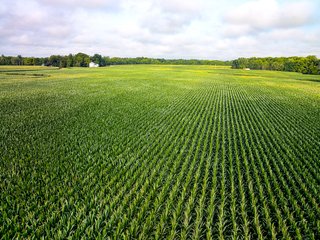 Property photo 93 - LAND AUCTION - 1,420 ACRES OFFERED IN 21 TRACTS IN PUTNAM, HENDRICKS & MONTGOMERY COUNTIES, INDIANA