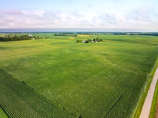 Property photo 95 - LAND AUCTION - 1,420 ACRES OFFERED IN 21 TRACTS IN PUTNAM, HENDRICKS & MONTGOMERY COUNTIES, INDIANA