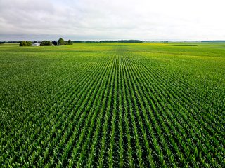 Property photo 97 - LAND AUCTION - 1,420 ACRES OFFERED IN 21 TRACTS IN PUTNAM, HENDRICKS & MONTGOMERY COUNTIES, INDIANA