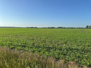 Property photo 55 - LAND AUCTION - 1,420 ACRES OFFERED IN 21 TRACTS IN PUTNAM, HENDRICKS & MONTGOMERY COUNTIES, INDIANA