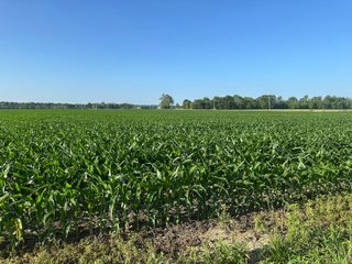 Property photo 58 - LAND AUCTION - 1,420 ACRES OFFERED IN 21 TRACTS IN PUTNAM, HENDRICKS & MONTGOMERY COUNTIES, INDIANA