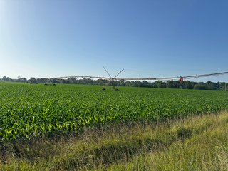 Property photo 59 - LAND AUCTION - 1,420 ACRES OFFERED IN 21 TRACTS IN PUTNAM, HENDRICKS & MONTGOMERY COUNTIES, INDIANA