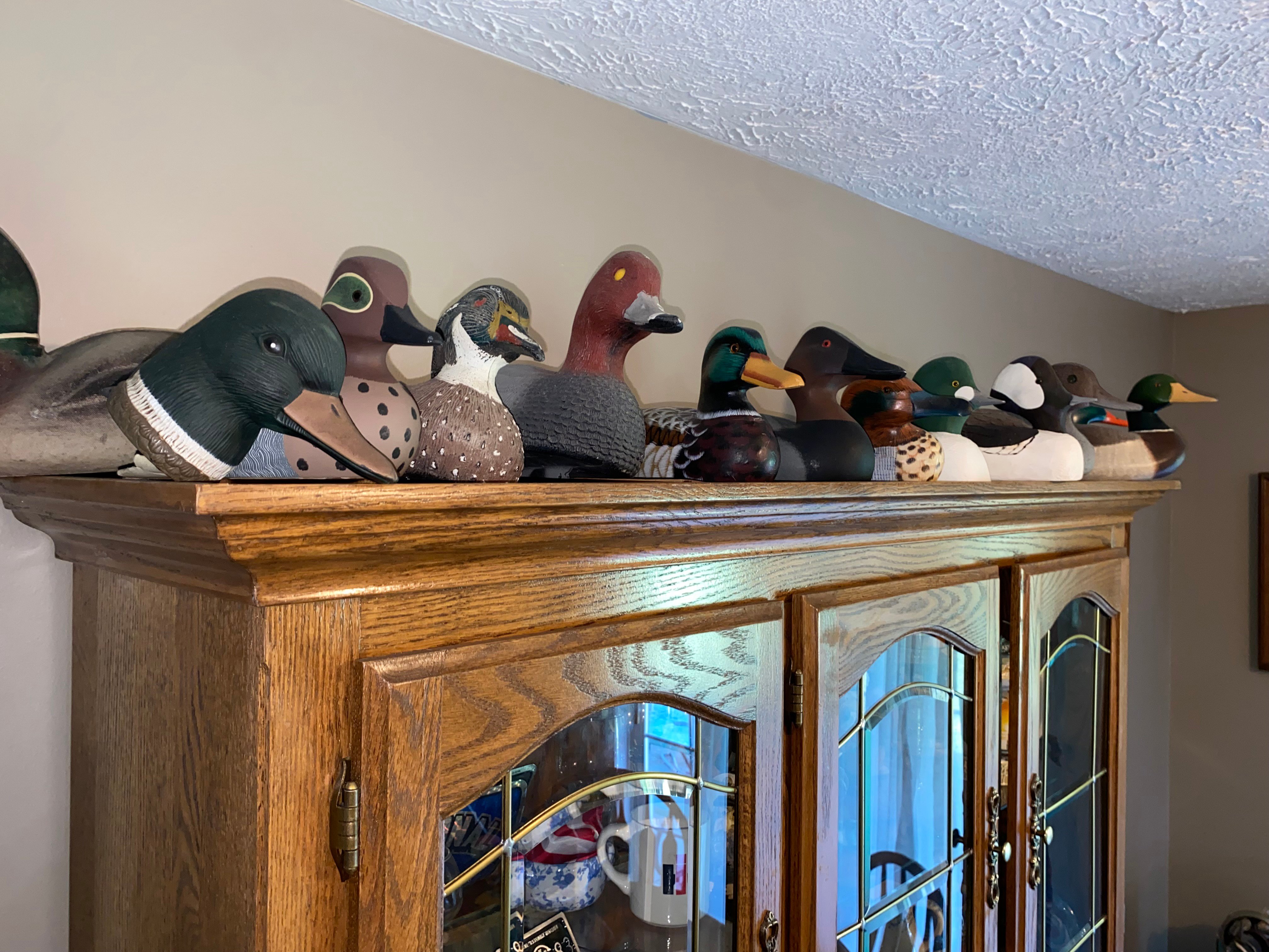 Property photo 58 - TIMED ONLINE ONLY PERSONAL PROPERTY AUCTION IN STEUBEN COUNTY, INDIANA