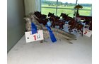 Property photo 20 - TIMED ONLINE ONLY PERSONAL PROPERTY AUCTION IN STEUBEN COUNTY, INDIANA