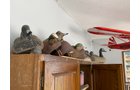 Property photo 3 - TIMED ONLINE ONLY PERSONAL PROPERTY AUCTION IN STEUBEN COUNTY, INDIANA
