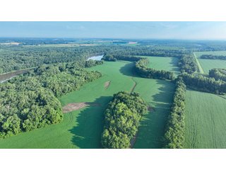 Property photo 41 - LAND AUCTION - 819+/-ACRES OFFERED IN 13 TRACTS IN KNOX COUNTY INDIANA