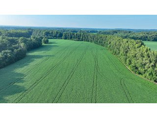 Property photo 1 - LAND AUCTION - 819+/-ACRES OFFERED IN 13 TRACTS IN KNOX COUNTY INDIANA