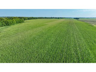 Property photo 37 - LAND AUCTION - 819+/-ACRES OFFERED IN 13 TRACTS IN KNOX COUNTY INDIANA