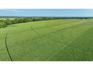 Property photo 36 - LAND AUCTION - 819+/-ACRES OFFERED IN 13 TRACTS IN KNOX COUNTY INDIANA