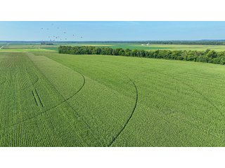 Property photo 35 - LAND AUCTION - 819+/-ACRES OFFERED IN 13 TRACTS IN KNOX COUNTY INDIANA