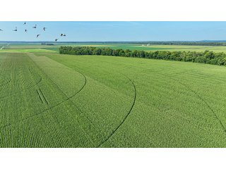 Property photo 34 - LAND AUCTION - 819+/-ACRES OFFERED IN 13 TRACTS IN KNOX COUNTY INDIANA