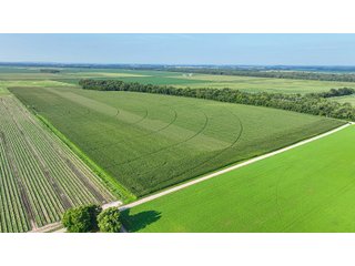 Property photo 42 - LAND AUCTION - 819+/-ACRES OFFERED IN 13 TRACTS IN KNOX COUNTY INDIANA
