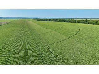 Property photo 59 - LAND AUCTION - 819+/-ACRES OFFERED IN 13 TRACTS IN KNOX COUNTY INDIANA