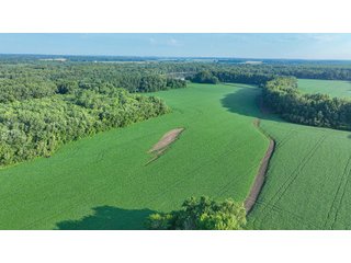 Property photo 58 - LAND AUCTION - 819+/-ACRES OFFERED IN 13 TRACTS IN KNOX COUNTY INDIANA
