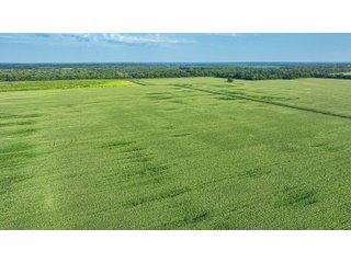 Property photo 56 - LAND AUCTION - 819+/-ACRES OFFERED IN 13 TRACTS IN KNOX COUNTY INDIANA