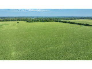 Property photo 55 - LAND AUCTION - 819+/-ACRES OFFERED IN 13 TRACTS IN KNOX COUNTY INDIANA